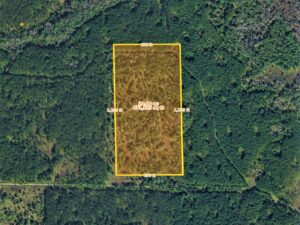 Aerial shot of Bunnell, FL 32110 Flagler County, Florida